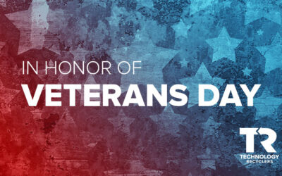 In Honor of Veterans Day